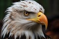 An AI illustration of a closeup of a bald eagle with a very dark background