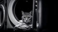 AI illustration of A curious black and white cat hiding behind a washing machine.