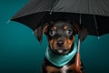 AI illustration of a cute little puppy sitting under an umbrella. Royalty Free Stock Photo