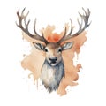 AI illustration of a deer painted in a watercolor style, set against a white background.