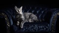 AI illustration of a domestic grey cat sits perched atop a vintage, tufted velvet sofa. Royalty Free Stock Photo