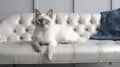 AI illustration of a domestic white cat sits perched atop a vintage, tufted velvet sofa.