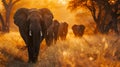 AI illustration of a herd of African elephants walking together across the savannah at dusk. Royalty Free Stock Photo