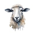 AI illustration of a painting of a sheep on a white background.