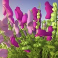 AI Illustration of Purple and Lilac Sweetpeas