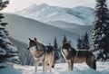 AI illustration of two gray wolves standing in front of a snow-covered mountain range. Royalty Free Stock Photo