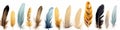 AI illustration of a variety of colorful feathers scattered on a white background.