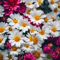 An AI illustration of white flowers with yellow centers are next to a purple flower Royalty Free Stock Photo