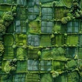 AI image, Aerial view of vibrant green patchwork fields and lush vegetation creating an artistic Royalty Free Stock Photo