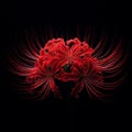 Ai image a beautiful red spider lily flower bloom in the dark Royalty Free Stock Photo