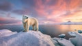 Ai Image Generative photograph of polar bear with white fur taken in a colder climate. Royalty Free Stock Photo