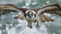 AI Image Generator of A Western Osprey catches a fish, Royalty Free Stock Photo