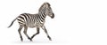 AI Image Generator of zebra on white background