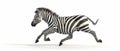 AI Image Generator of zebra on white background