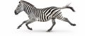 AI Image Generator of zebra on white background