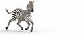 AI Image Generator of zebra on white background