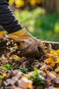 AI image of recycling of organic waste. Close up of person hands in rubber gloves throwing weeds and vegetable peelings