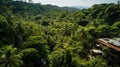 Jungle Hideaways: A Drone\'s View of Remote Homes Amidst the Wilderness