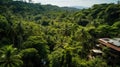 Jungle Hideaways: A Drone\'s View of Remote Homes Amidst the Wilderness Royalty Free Stock Photo