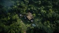 Jungle Hideaways: A Drone\'s View of Remote Homes Amidst the Wilderness Royalty Free Stock Photo
