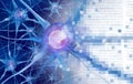 AI and neuroscience aor digital neurology brain function concept as artificial intelligence or virtual reality technology as a 3D