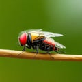 AI photo of a close-up of a robotic insect.