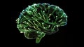 AI-Powered Cognitive Systems: Digital Brain with Data Streams and Binary Code for Tech Design Royalty Free Stock Photo