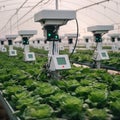 AI-powered precision farming system uses artificial intelligence