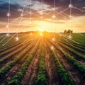 AI-powered precision farming system uses artificial intelligence to optimize crop yields