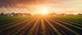 AI-powered precision farming system uses artificial intelligence to optimize crop yields