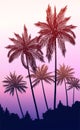 Natural Coconut trees. Mountains horizon hills. Silhouettes of palm trees and hills. Sunrise and sunset. Landscape wallpaper. Royalty Free Stock Photo