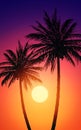 Natural Coconut trees. Mountains horizon hills. Silhouettes of palm trees and hills. Sunrise and sunset. Landscape wallpaper. Royalty Free Stock Photo