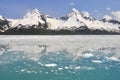 Aialik bay, Kenai Fjords national park (Alaska) Royalty Free Stock Photo