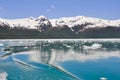 Aialik bay, Kenai Fjords national park (Alaska) Royalty Free Stock Photo