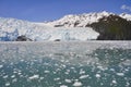 Aialik glacier, Kenai Fjords National Park (Alaska) Royalty Free Stock Photo