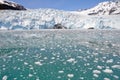 Aialik glacier, Kenai Fjords NP Royalty Free Stock Photo