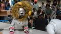 An Aibo in lion costume in Aibo Gathering taking place in Sony Showroom in Tokyo