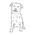 aidi dog, vector sketch outline pencil drawing artwork, black character on white background