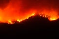 Large forest wildfire at night