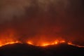 Large forest wildfire at night