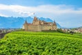 Aigle Castle and Terraced vineyards Royalty Free Stock Photo