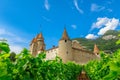 Aigle Castle vineyards Royalty Free Stock Photo