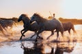 Aigues Mortes, France. wild horses of Camargue running on water