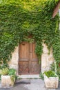 Green ivy growing over a wooden door