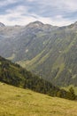 Aigues tortes national park forest landscape. Spain