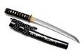 Aigushi or Tanto short Japanese sword with scabbard Royalty Free Stock Photo