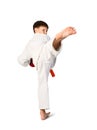 Aikido boy Royalty Free Stock Photo