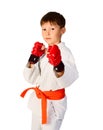 Aikido boy Royalty Free Stock Photo