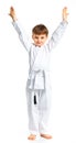 Aikido boy fighting position Royalty Free Stock Photo