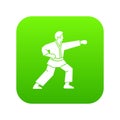 Aikido fighter icon digital green